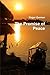 The Promise of Peace by Roger German
