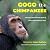 GOGO the CHIMPANZEE by Mabel Ihedioha