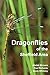Dragonflies of the Sheffield Area by alistair mclean