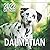 Dalmatian 2022 Calendar by Dina Smith