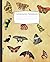 Composition Notebook: Wide ...