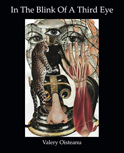In The Blink of a Third Eye: Poetry, flash-fiction, drawing-collages (Paperback)
