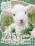 BABY SHEEPS Calendar 2022: ...