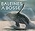 BALEINES A BOSSE by Phil Clapham