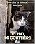 CHAT DE GOUTTIERE