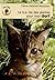Le b.a.-ba des plantes pour mon CHAT by Céline Gastinel-Moussour