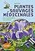 Plantes sauvages médicinale...