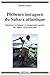 Pécheurs imraguen du Sahara atlantique (Hommes et Sociétés) (French Edition)