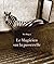 Le Magicien sur la passerelle: Chroniques du marché aux illusions (Taiwan Fiction) (French Edition)