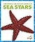 Sea Stars (Pogo Books: The ...