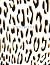 Notebook: Leopard Animal Pr...