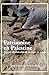 Patrimoine en Palestine. Enjeux et obstacles de sa mise en va... by René Elter