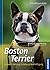 Boston Terrier: Auswahl, Haltung, Erziehung, Beschäftigung