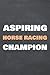 Aspiring Horse Racing Champ...