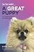 So, You Want a Great Puppy?