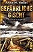 Gefährliche Gischt: Kriminalroman | Spannender Küsten-Krimi mit ungewöhnlichem deutsch-dänischen Ermittlerinnen-Duo (Deutsch-dänische Ermittlungen 1) (German Edition)