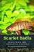 Scarlet Badis: Scarlet Badis Care, Information, & Pictures
