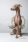 Notebook: Premium quality 6x9in lined journal jotter cute design perfect gift. Italian greyhound.
