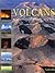 Les rendez-vous de la nature volcans