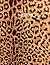 Notebook: Leopard Print Com...
