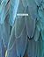 Notebook: Feather Print Com...