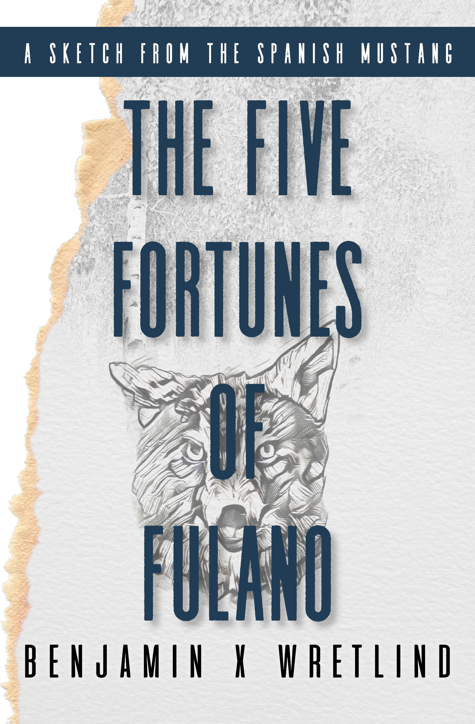 The Five Fortunes of Fulano (Sketches from the Spanish Mustang, #5)