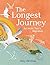 The Longest Journey: An Arctic Tern's Migration