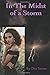 In The Midst of a Storm by Dia Stone