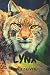 Animal notebook: Lynx notebook