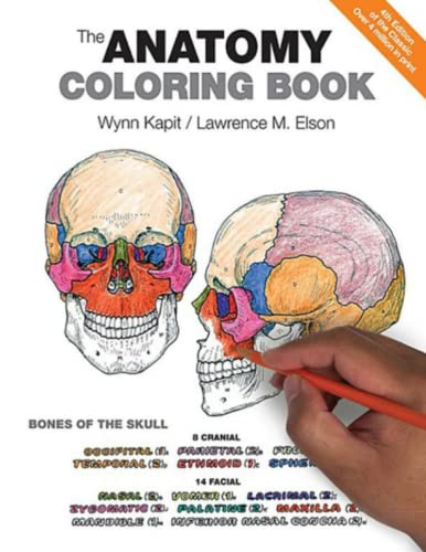 The Anatomy Coloring Book (Paperback)