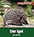 Der Igel: Schauen und Wissen