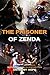 THE PRISONER OF ZENDA BY ANTHONY HOPE (Classic Edition Annotated Illustrations ): Classic Edition Annotated Illustrations