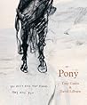 Pony Pony