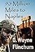 90 Million Miles To Naples by Gerald Wayne Flinchum