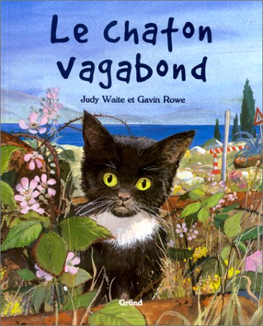 Le Chaton vagabond (Board Book)