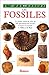 Les Fossiles by Colin Keates
