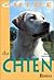 Guide du chien