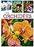 Orchidées