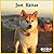 Just Akitas 2022 Calendar: ...