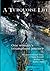 A Turquoise Life: One Woman's Journey from Trauma to Triumph
