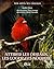 Attirer les oiseaux les log...