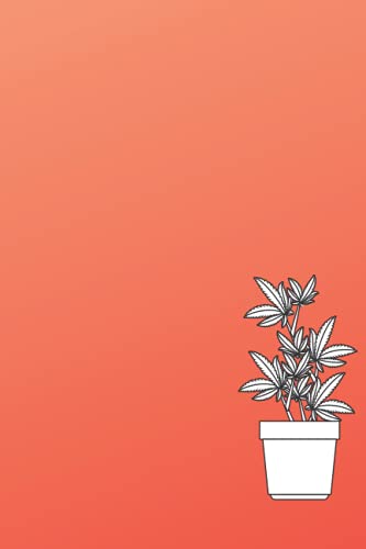 Microdosing Journal: Melon Cannabis (My Micro)