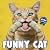 Funny Cat Calendar 2022: Sq...