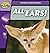 Rapid Phonics Step 2: All E...