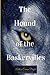 The Hound of the Baskervilles: a novel for mystery and detective literature.