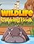 Wildlife Coloring Book by John Bledsoe