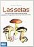 Las setas