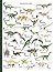 Decomposition Notebook Dino...