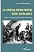 La social-démocratie sous Bismarck: Histoire d'un mouvement qui changea l'Allemagne (French Edition)