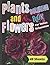 Variety Flowers & Plants Co...
